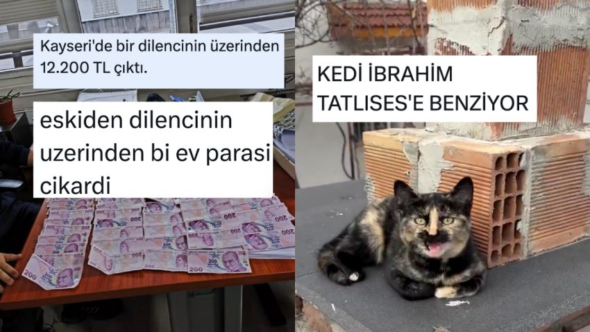 İktisadın Bitmesinden Ünlü Gibisi Kedilere Son 24 Saatin Viral Tweetleri