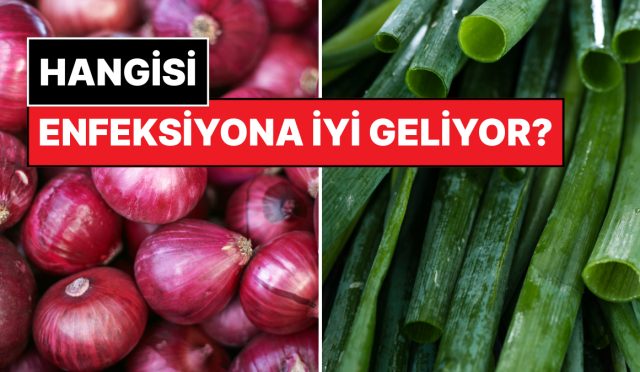 ilac-uzere-geliyor-ancak-neye-kirmizi-ve-yesil-sogan-ortasinda-bilmeniz-gereken-farklar-ryg79RTy.jpg