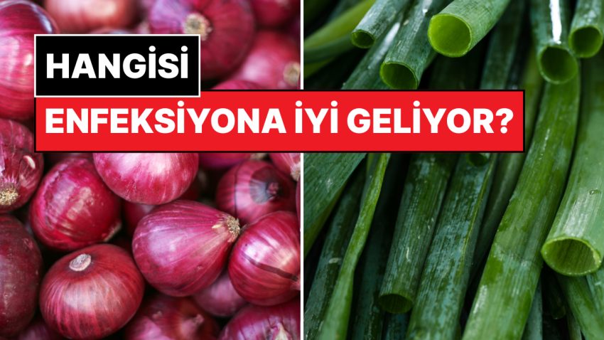 İlaç Üzere Geliyor Ancak Neye? Kırmızı ve Yeşil Soğan Ortasında Bilmeniz Gereken Farklar