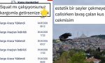 inip-kalkan-kargodan-lavas-yuruten-kusa-son-24-saatin-viral-tweetleri-4gQOjixG.jpg