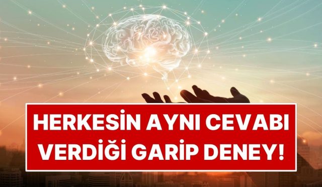 insanlarin-98inin-birebir-karsiligi-verdigi-deney-7CjHUdB7.jpg