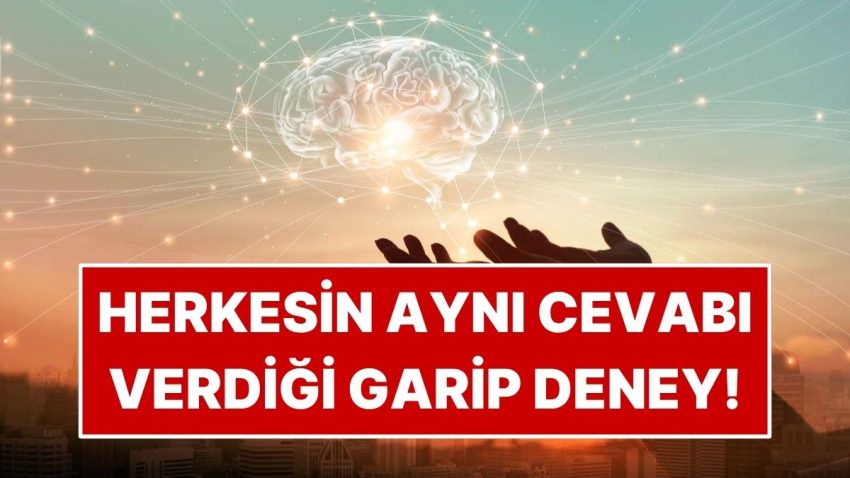 İnsanların %98’inin Birebir Karşılığı Verdiği Deney!