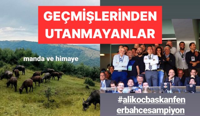 instagram-arsivlerini-gogsunu-gere-gere-acan-x-kullanicilari-652bYEzf.jpg