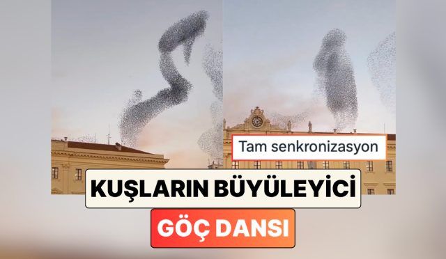 italyada-goc-eden-kus-surusunun-gokyuzundeki-dansini-izlerken-hipnotize-olacaksiniz-uzyZhy9r.jpg