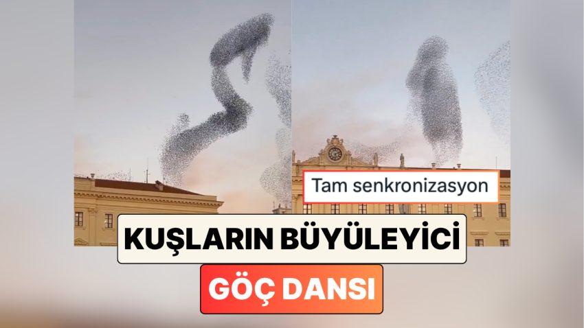 İtalya’da Göç Eden Kuş Sürüsünün Gökyüzündeki Dansını İzlerken Hipnotize Olacaksınız