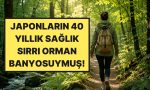 japonlarin-40-yillik-sihhat-sirri-ortaya-cikti-hem-bagisikligi-hem-hafizayi-ucuruyor-bt4zgkug.jpg