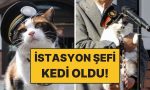 japonyada-istasyon-sefi-tekrar-kedi-oldu-resmi-merasim-duzenlendi-MEfKmRwC.jpg