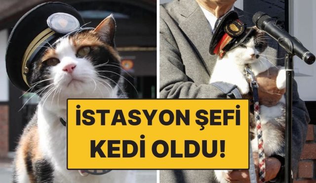 japonyada-istasyon-sefi-tekrar-kedi-oldu-resmi-merasim-duzenlendi-MEfKmRwC.jpg