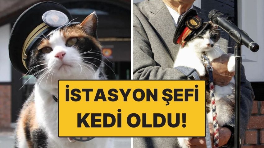Japonya’da İstasyon Şefi Tekrar Kedi Oldu! Resmi Merasim Düzenlendi