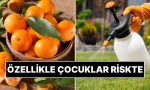 kabugu-var-diye-cok-da-guvenmeyin-uzmanlar-mandalinayi-yikama-konusunda-uyardi-cBBNFNs8.jpg
