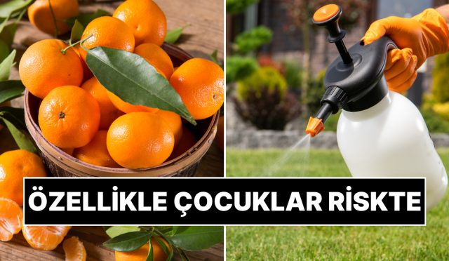kabugu-var-diye-cok-da-guvenmeyin-uzmanlar-mandalinayi-yikama-konusunda-uyardi-cBBNFNs8.jpg