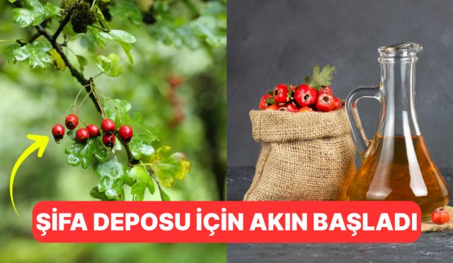 kalbi-koruyor-kanseri-uzakta-tutuyor-sifa-deposu-alic-tekrardan-tezgahlarin-gozdesi-oldu-ye22LOCU.jpg