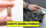 kalcasindan-cikti-istahsiz-kedisini-veterinere-goturen-aile-hayatinin-sokunu-yasadi-LgTxxVLX.jpg
