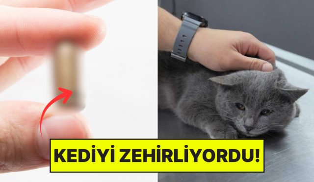 kalcasindan-cikti-istahsiz-kedisini-veterinere-goturen-aile-hayatinin-sokunu-yasadi-LgTxxVLX.jpg