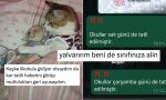 kar-tatili-haberlerinin-pes-pese-gelmesiyle-goygoycular-harekete-gecti-Ta4NNKAr.jpg
