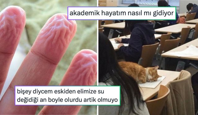 kazara-metrobusu-sarj-edenden-2025i-aci-bir-formda-ozetleyene-son-24-saatin-viral-tweetleri-MnmFzRhq.jpg