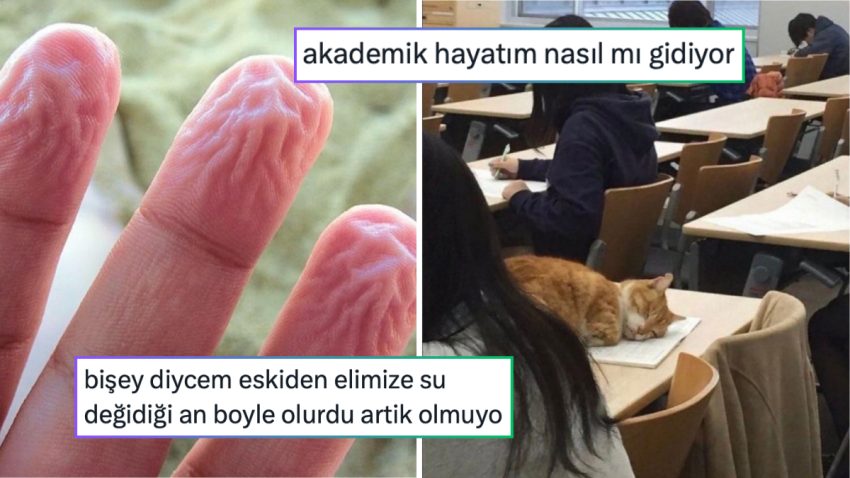 Kazara Metrobüsü Şarj Edenden 2025’i Acı Bir Formda Özetleyene Son 24 Saatin Viral Tweetleri