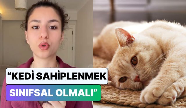 kedi-sahiplenmek-sinifsal-olmali-diyen-veteriner-toplumsal-medyayi-ikiye-boldu-3Kq1vLML.jpg