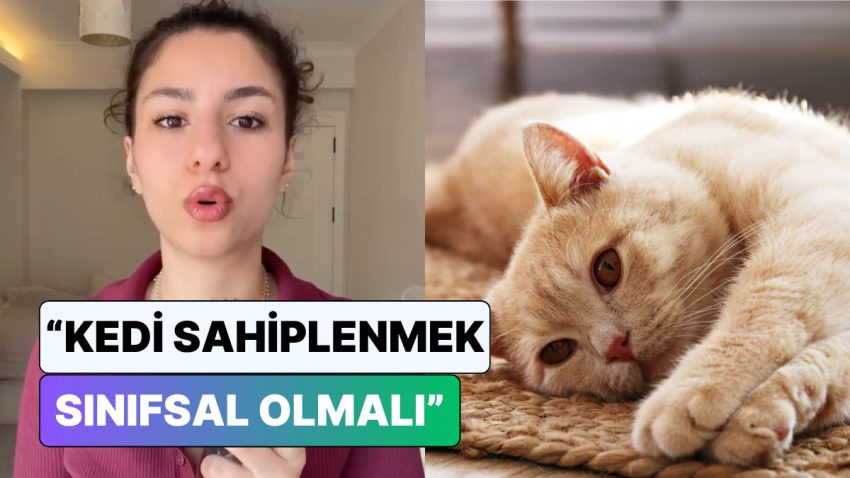 “Kedi Sahiplenmek Sınıfsal Olmalı” Diyen Veteriner Toplumsal Medyayı İkiye Böldü