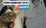 kedi-sevgimiz-bu-noktaya-geldi-bir-vatandas-kedisine-sunnet-dugunu-duzenledi-1aLIxRgh.jpg
