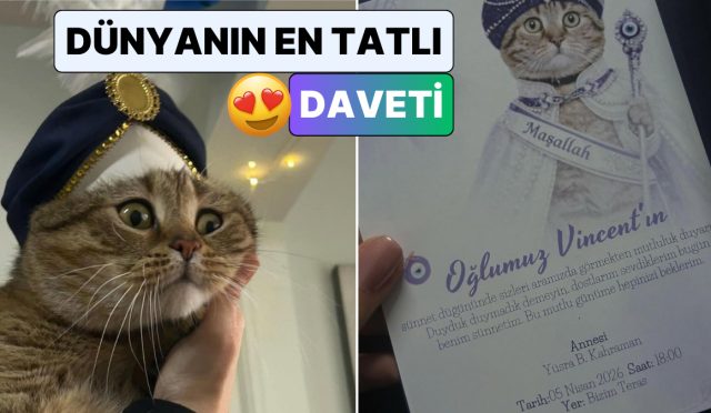 kedi-sevgimiz-bu-noktaya-geldi-bir-vatandas-kedisine-sunnet-dugunu-duzenledi-1aLIxRgh.jpg