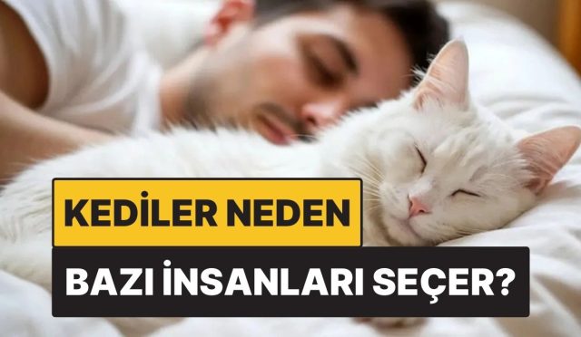 kediler-neden-kimi-insanlari-bilhassa-secer-Lb77g7yR.jpg