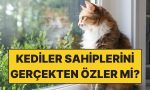 kediler-sahiplerini-nitekim-ozler-mi-karsiligi-yureginizi-burkacak-fr753QYm.jpg