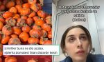 kedilere-serpme-kahvalti-hazirlayandan-salcasiz-ugur-bocegine-son-24-saatin-viral-tweetleri-GHTYw3i2.jpg