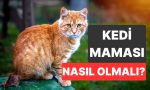 kedilerin-beslenmesinde-yapilan-bu-kolay-degisiklik-kedi-sihhatini-etkiliyor-hJePfWha.jpg