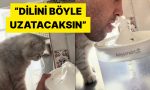 kedisine-su-icmeyi-uygulamali-olarak-ogreten-adam-viral-oldu-xYfF4nRN.jpg