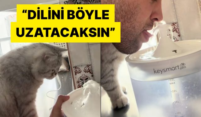 kedisine-su-icmeyi-uygulamali-olarak-ogreten-adam-viral-oldu-xYfF4nRN.jpg
