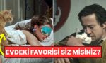 kendinize-cok-da-guvenmeyin-kediniz-meskende-en-cok-kimi-seviyor-fNIk4kkR.jpg