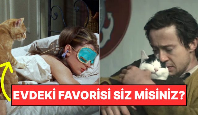 kendinize-cok-da-guvenmeyin-kediniz-meskende-en-cok-kimi-seviyor-fNIk4kkR.jpg