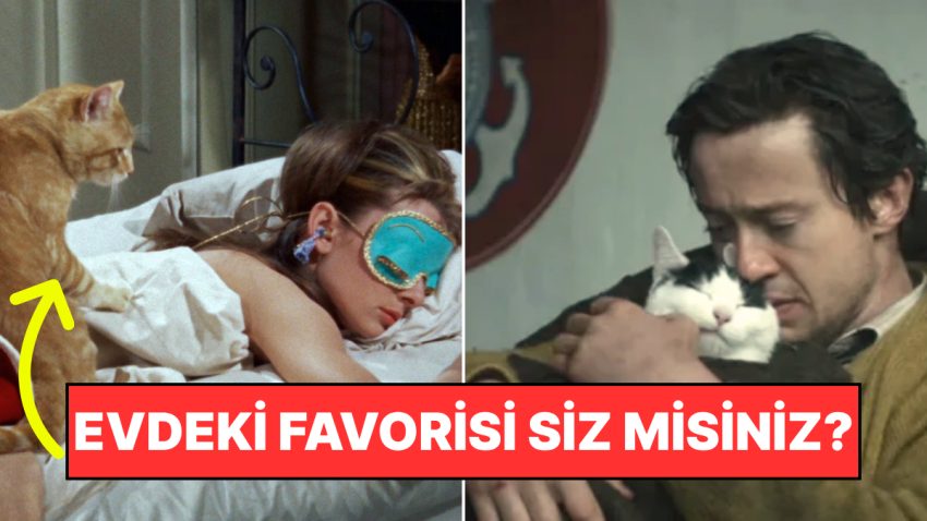 Kendinize Çok da Güvenmeyin: Kediniz Meskende En Çok Kimi Seviyor?