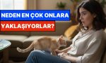 kimsenin-gormedigini-goruyorlar-kediler-neden-kendilerinden-kacan-besere-yaklasir-DwNhjb7h.jpg