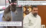 konuk-bebegine-alinandan-yapay-zekasiz-dumduz-fotosop-ozleyene-son-24-saatin-viral-tweetleri-cza2U4wK.jpg