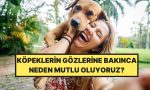kopeklerin-gozlerine-bakinca-neden-memnun-oluyoruz-FCUEk9xV.jpg