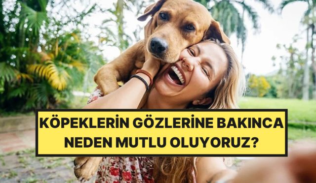 kopeklerin-gozlerine-bakinca-neden-memnun-oluyoruz-FCUEk9xV.jpg
