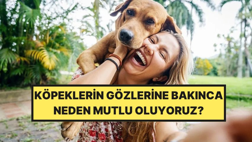 Köpeklerin Gözlerine Bakınca Neden Memnun Oluyoruz?