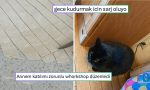 kudurmak-icin-sarj-olan-kediden-anneden-gelen-mecbur-workshopa-son-24-saatin-viral-tweetleri-NcDEpb2B.jpg