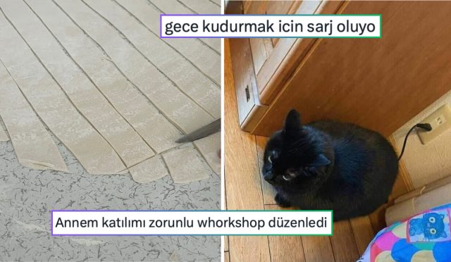 kudurmak-icin-sarj-olan-kediden-anneden-gelen-mecbur-workshopa-son-24-saatin-viral-tweetleri-NcDEpb2B.jpg