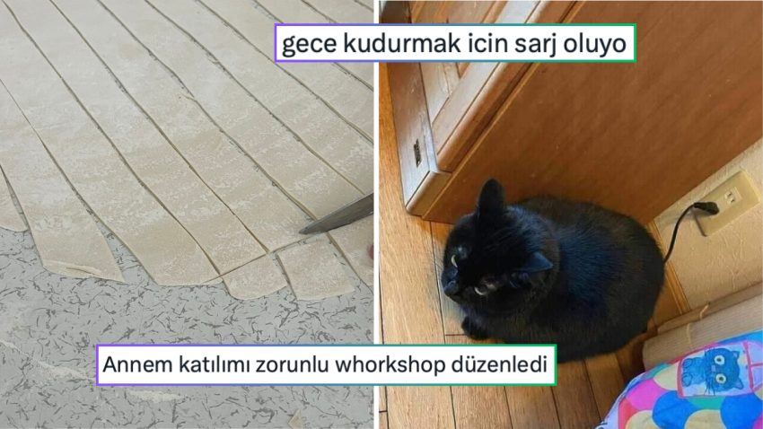 Kudurmak İçin Şarj Olan Kediden Anneden Gelen Mecburî Workshop’a Son 24 Saatin Viral Tweetleri