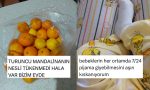 mandalinalarin-yesermesinden-bebeklere-ozenenlere-son-24-saatin-viral-tweetleri-dZvReB8l.jpg