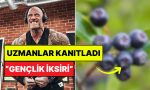marketten-onu-almadan-cikmayin-bu-muhtesem-meyvenin-yaslanma-ziddi-tesirleri-kanitlandi-be5B8jm2.jpg