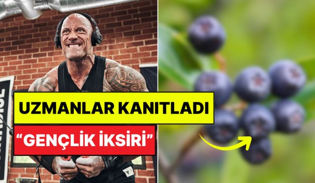 marketten-onu-almadan-cikmayin-bu-muhtesem-meyvenin-yaslanma-ziddi-tesirleri-kanitlandi-be5B8jm2.jpg