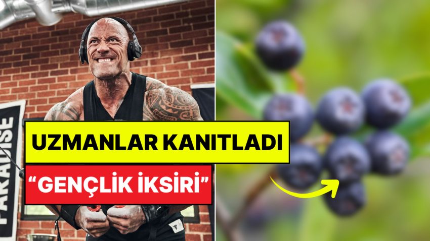 Marketten Onu Almadan Çıkmayın: Bu Muhteşem Meyvenin Yaşlanma Zıddı Tesirleri Kanıtlandı