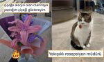 mevsime-nazaran-karakter-degistirenden-her-goruse-hurmet-duymayi-birakana-son-24-saatin-viral-tweetleri-3AKZ852z.jpg