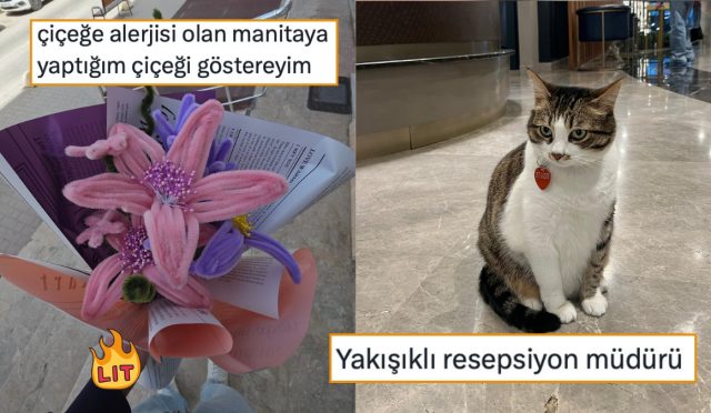 mevsime-nazaran-karakter-degistirenden-her-goruse-hurmet-duymayi-birakana-son-24-saatin-viral-tweetleri-3AKZ852z.jpg