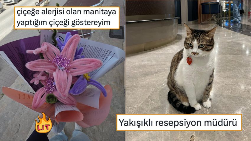 Mevsime Nazaran Karakter Değiştirenden Her Görüşe Hürmet Duymayı Bırakana Son 24 Saatin Viral Tweetleri