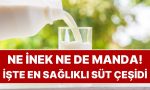 ne-inek-ne-de-manda-en-saglikli-sut-cesidi-meger-degisikmis-35BSGSRT.jpg